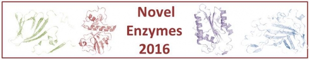 5th International Conference on Novel Enzymes